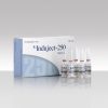 Buy Induject-250 - buy in South Africa [Sustanon 250mg 10 ampoules]